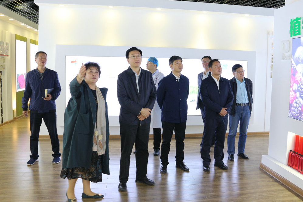 2020年11月2日省政府食安辦副主任，省市場監(jiān)督管理局副局長王建防到公司調(diào)研指導(dǎo)工作.JPG